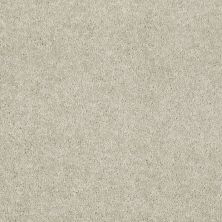 Shaw Floors Home Foundations Gold Traditional Allure 15′ Sand Dollar 00116_HGG68