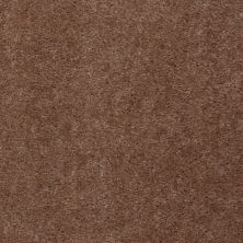 Shaw Floors K Hovnanian Springwood Bootstrap 06736_HGK06
