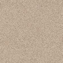 Shaw Floors Home Foundations Gold Prime Twist Storm 00109_HGL04