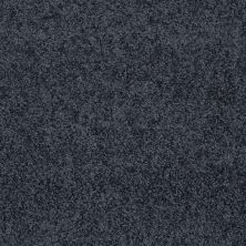 Shaw Floors Home Foundations Gold Prime Twist Indigo 00462_HGL04