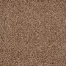 Shaw Floors Home Foundations Gold Prime Twist Twill 00700_HGL04