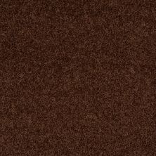 Shaw Floors Home Foundations Gold Prime Twist Mocha 00708_HGL04