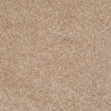 Shaw Floors Home Foundations Gold Favorite Choice 12′ Macaroon 00104_HGL45