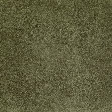 Shaw Floors Home Foundations Gold Favorite Choice 12′ Central Park 00301_HGL45