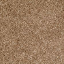 Shaw Floors Home Foundations Gold Favorite Choice 12′ Veranda 00700_HGL45