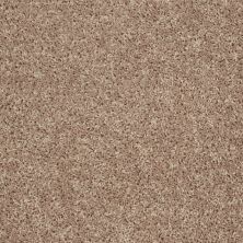 Shaw Floors Home Foundations Gold Forest Grove Washed Suede 00104_HGL64