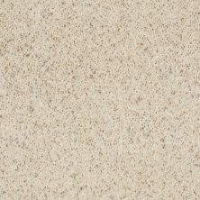 Shaw Floors Home Foundations Gold Coastal Dreams (b) Outer Bank 00155_HGL69