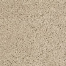 Shaw Floors Home Foundations Gold Tahoe Classic (s) Plaza Taupe 00700_HGL70