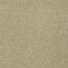 Shaw Floors Home Foundations Gold Emerald Bay II Washed Turquoise 00453_HGN52