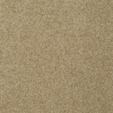 Shaw Floors Home Foundations Gold Emerald Bay III Taffeta 00107_HGN53