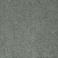 Shaw Floors Home Foundations Gold Emerald Bay III Silver Sage 00350_HGN53