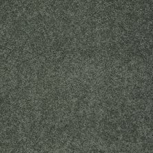 Shaw Floors Home Foundations Gold Emerald Bay III Bay Laurel 00351_HGN53