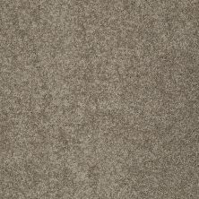 Shaw Floors Home Foundations Gold Emerald Bay III Flax 00751_HGN53