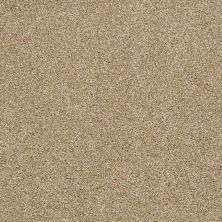 Shaw Floors Home Foundations Gold Sunset Blvd Gray Flannel 00511_HGN58