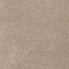 Shaw Floors Home Foundations Gold Peachtree I (s) Rustic Taupe 00706_HGN76