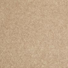 Shaw Floors Home Foundations Gold Modern Image 12′ Straw Hat 00260_HGP19