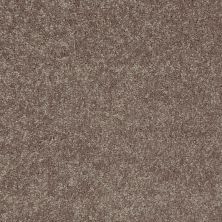 Shaw Floors Home Foundations Gold Modern Image 12′ Suede 00731_HGP19