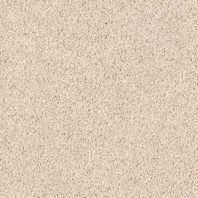 Shaw Floors Home Foundations Gold High Authority Linen 00128_HGP34