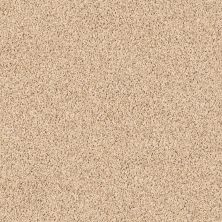 Shaw Floors Home Foundations Gold High Authority Linen 00128_HGP34
