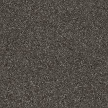 Shaw Floors Home Foundations Gold Fast Ball II Dark Roast 00740_HGP39