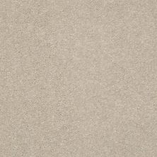 Shaw Floors Home Foundations Gold Blue Sky Flax 00502_HGP96