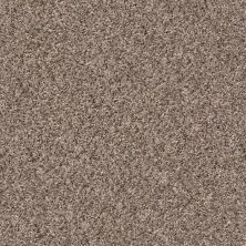 Shaw Floors Home Foundations Gold Fiesta Island Brown Reed 00751_HGR04