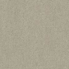 Shaw Floors Home Foundations Gold Bayside Cove Natural Stone 00106_HGR09
