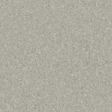 Shaw Floors Home Foundations Gold Heron Cove Soft Fleece 120T_HGR10