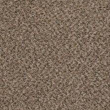Shaw Floors Home Foundations Gold Vintage Style Safari 00112_HGR22