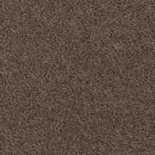Shaw Floors Home Foundations Gold Vintage Style Good Earth 00712_HGR22