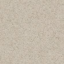 Shaw Floors Home Foundations Gold Graceful Finesse Winter White 00110_HGR23