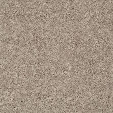 Shaw Floors Home Foundations Gold Graceful Finesse Soft Taupe 00501_HGR23