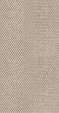 Shaw Floors Home Foundations Gold Modern Chic Sun Kissed 00110_HGR69