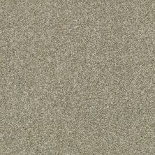 Shaw Floors Builder Specified Fresh Spirit Bare Mineral 00125_HGR72
