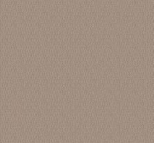 Shaw Floors Builder Specified Acclaimed Pebble Path 00109_HGR75