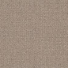 Shaw Floors Builder Specified Water’s Edge Perfect Taupe 00119_HGR77