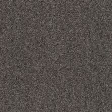 Shaw Floors Desert Springs Galvanized Grey 00504_HGR88