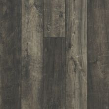 Shaw Floors Home Fn Gold Laminate Columbia Night Surf 09004_HL382