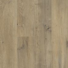 Shaw Floors Home Fn Gold Laminate Excalibur Plus Forge 01004_HL442