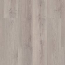Shaw Floors Home Fn Gold Laminate Seasonality Frost 05045_HL445