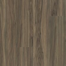 Shaw Floors Resilient Residential Piancavallo Plus Cinnamon Wlanut 00150_HSS47