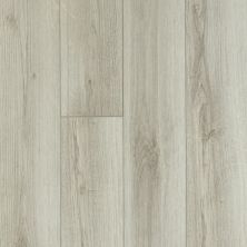 Shaw Floors Resilient Residential Trask Plus Pecorino 00157_HSS48