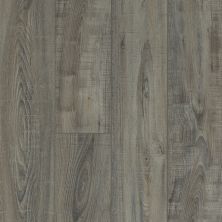 Shaw Floors Resilient Residential Pearsoll Plus Temporale 00578_HSS49