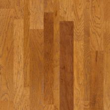 Shaw Floors Home Fn Gold Hardwood Bellevue Broadway 00633_HW481