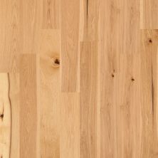 Shaw Floors Home Fn Gold Hardwood Kingston Hickory Coat Of Arms 00993_HW486