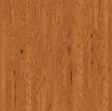 Shaw Floors Duras Hardwood All In II 3.25 Caramel 00223_HW581