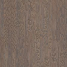 Shaw Floors Duras Hardwood All In II 3.25 Weathered 00543_HW581