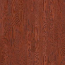 Shaw Floors Duras Hardwood All In II 3.25 Cherry 00947_HW581