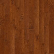 Shaw Floors Duras Hardwood Gulf Breeze Burnside 00627_HW591