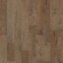 Shaw Floors Duras Hardwood West Valley Mesquite 05019_HW593